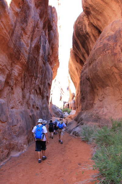 Fiery Furnace: Walking through