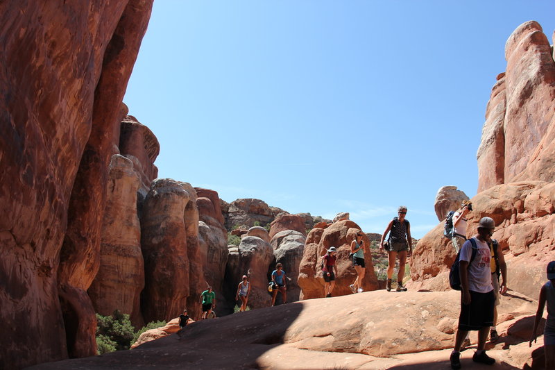 Fiery Furnace:  Climbing up