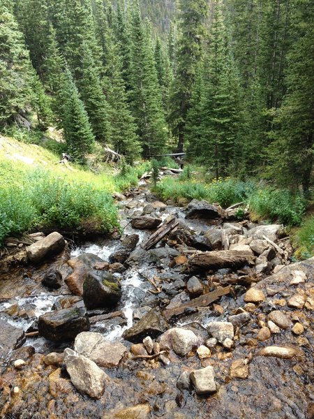 The view down from the crossing at Alpine Brook at mile 2