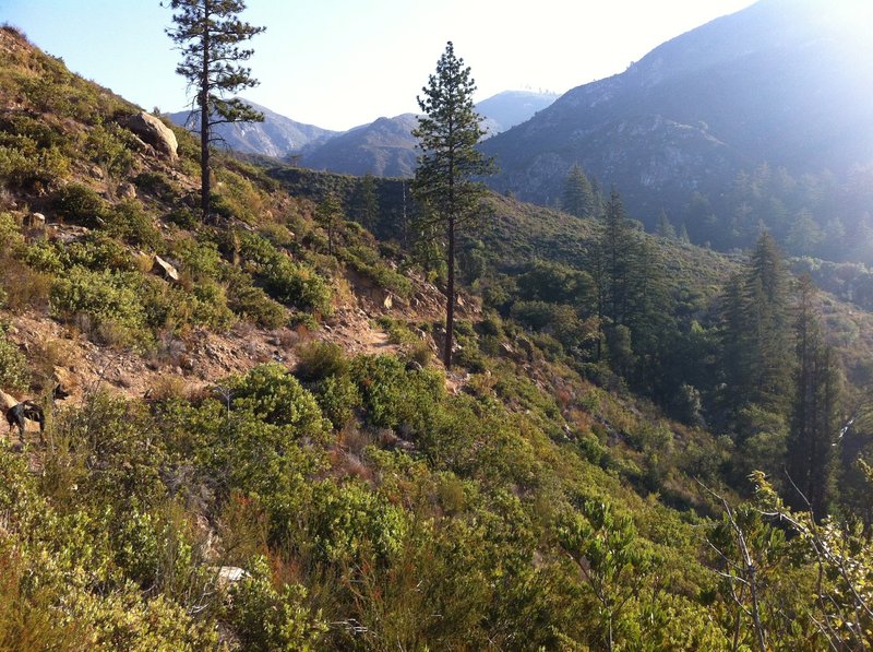 Pine Ridge Trail above Sykes