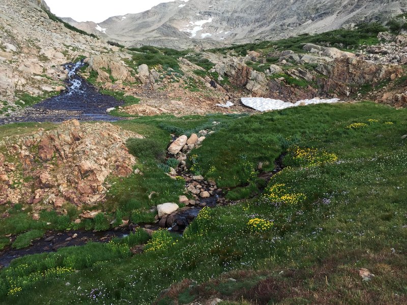 Glacier field just shy of Blue Lake