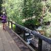 The start of the Timberline Lake Trail