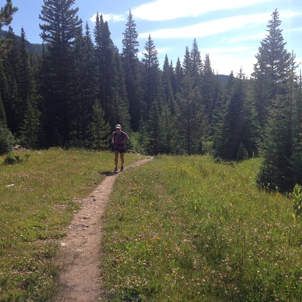 Great running on the Timberline Lake Trail