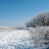 Looking east on one of the trails connecting to this segment of Ice Age Trail.