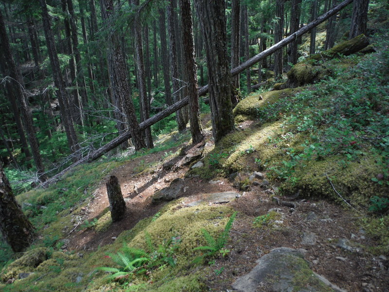 One of the many switchbacks.