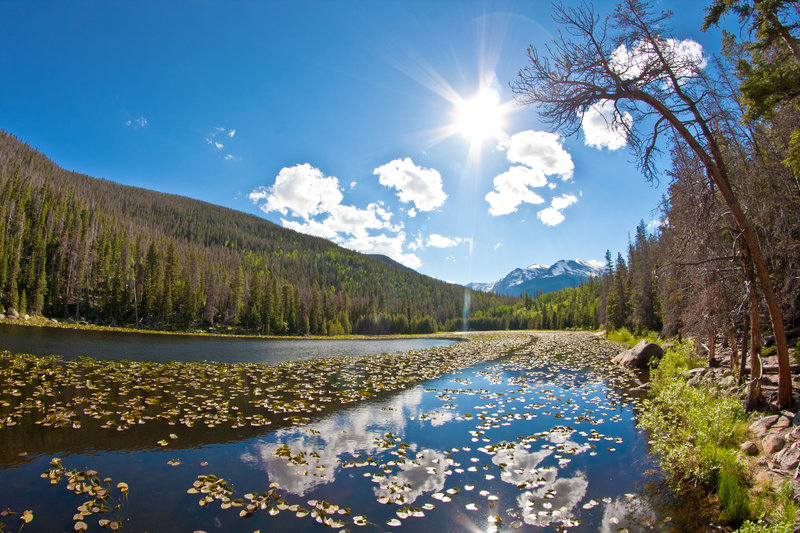 Cub Lake