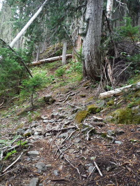 The trail gets progressively rougher as you get closer to the top while continuing to switchback.