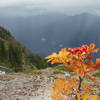 A view downward from near the crest of the trail.