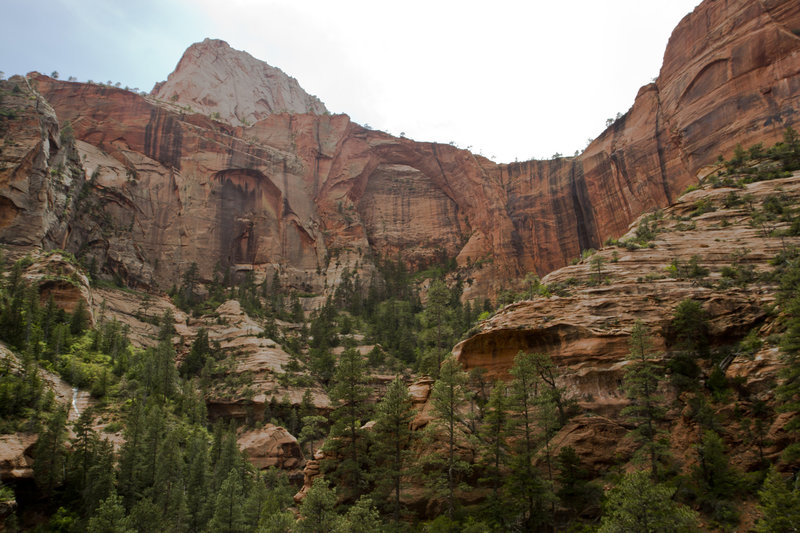 Kolob Arch from Kolob Arch Trail.