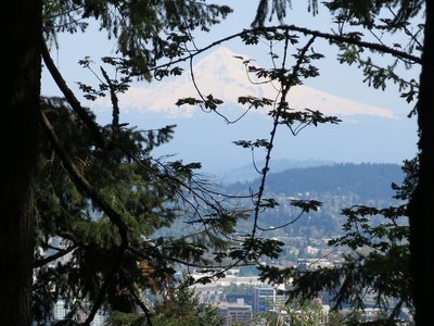 View of Mt Hood