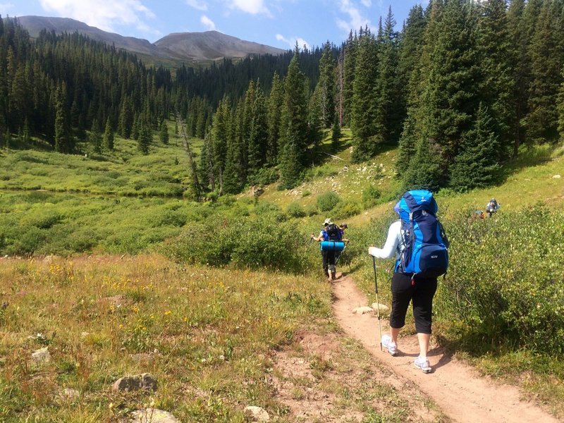 Heading up Guller Creek