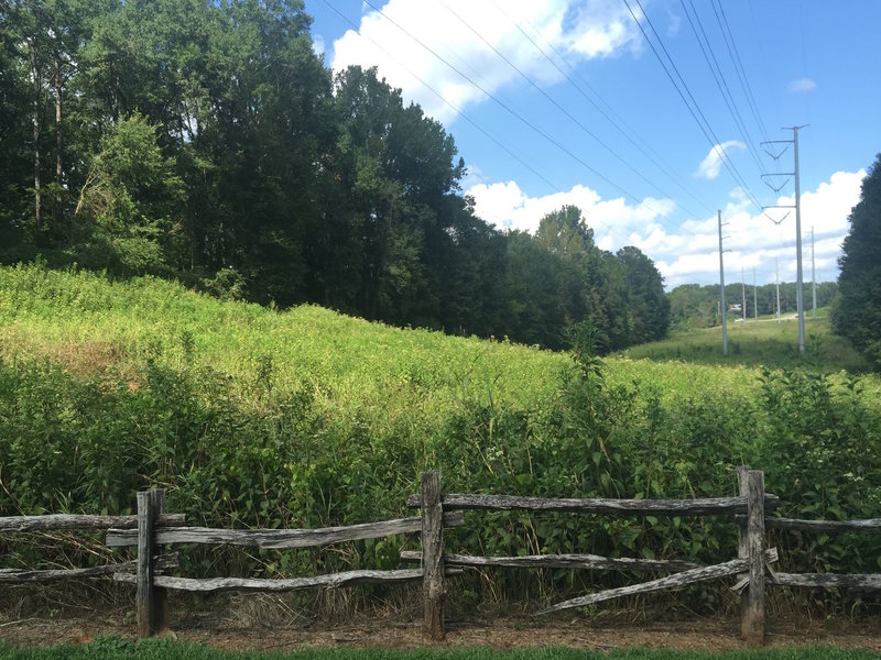 View of the Georgia Power Easement from the southern entrance of the park.