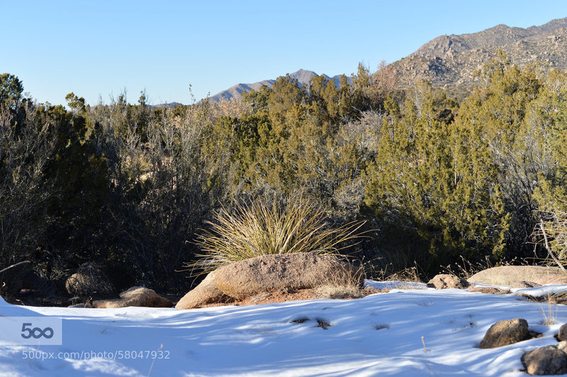 Cibola National Forest trail intersection.