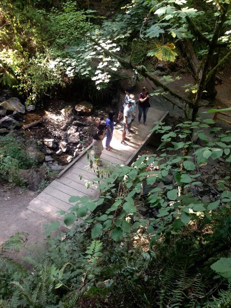 A group of hikers stop on a bridge over Balch Creek to take pictures. Bill Cunningham Photo