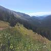 Looking back down Arapaho Pass Trail.