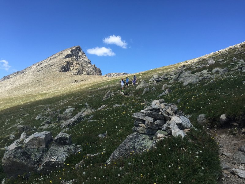 Looking back up to South Arapaho Peak from the wildflower-filled meadow.