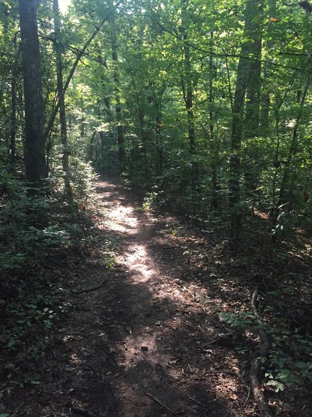 Singletrack along Lakeside Trail