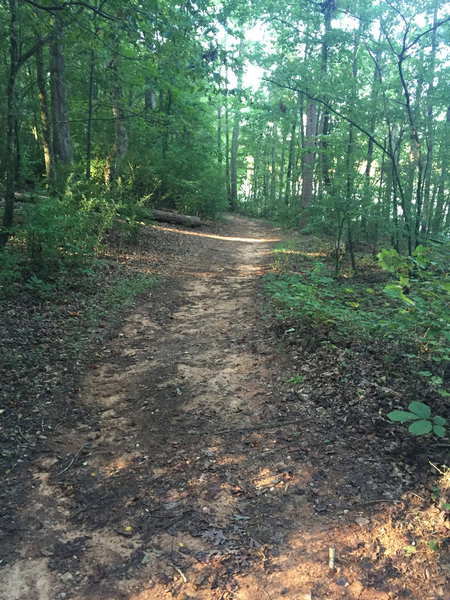 Doubletrack along Lakeside Trail