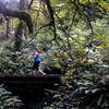 A woman takes some time at lunch to run the Dogwood Trail. Photo by Bill Cunningham