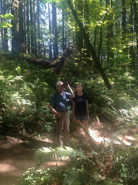 A man and his granddaughter were seen spotting Pacific Wren and Wilson's Warblers along the Wild Cherry Trail. Bill Cunningham Photo