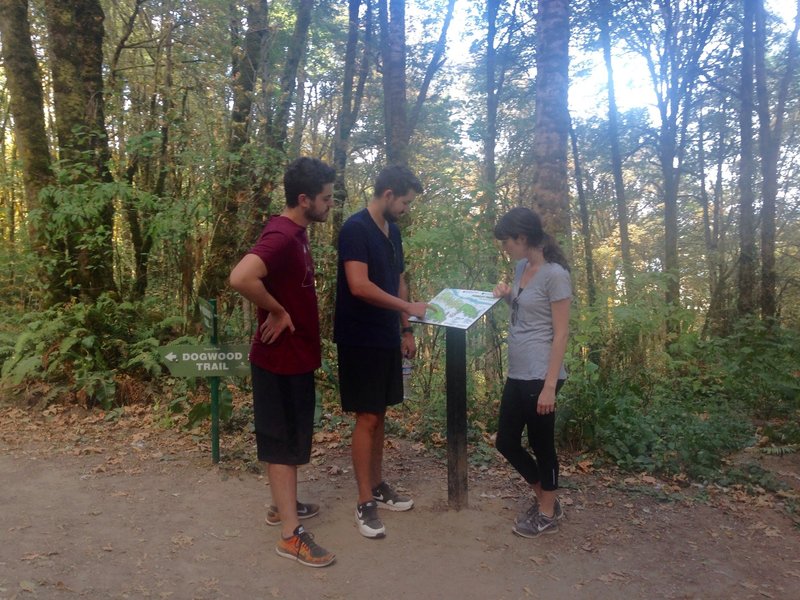 Visitors from England check out a trail map at the intersection of the Wildwood and Dogwood Trails. Bill Cunningham Photo