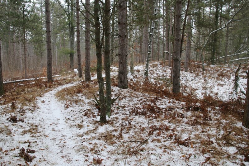 Early winter run.