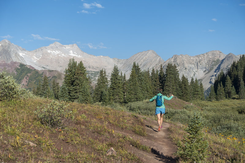 Back into the trees headed down the west side of Buckskin Pass. Photo: Michelle Smith