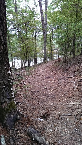 A final view of the lake