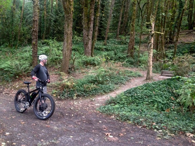 A bicyclist stops to check out the site remains of the former homestead on the Erikson Trail. Bill Cunningham Photo