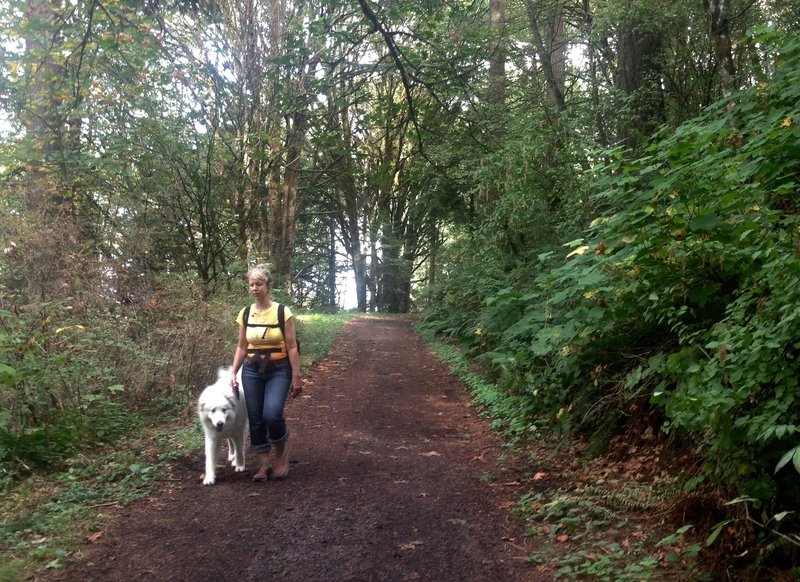 A woman walks her dog along the Erikson Trail near Gas Line Rd. Bill Cunningham Photo