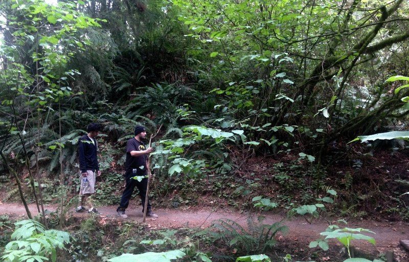 Two men explore the Ridge Trail. Bill Cunningham Photo