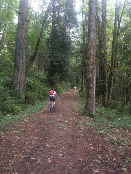 A bicyclist and runner make their way up Springville Rd. Big Cunningham Photo