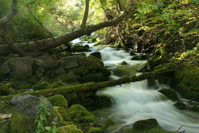A stream near Crimson Trailhead.