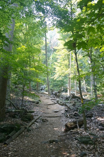 Trail views from Cunningham Falls State Park