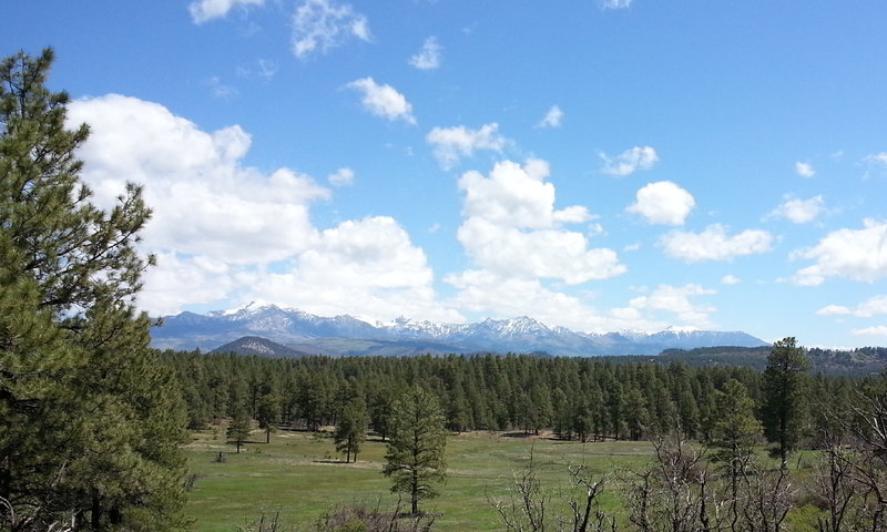 Pagosa Peak rises in the distance in the Turkey Springs Trails System.