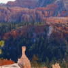 Navajo Loop Trail.