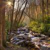 Stream in the Smoky Mtns.