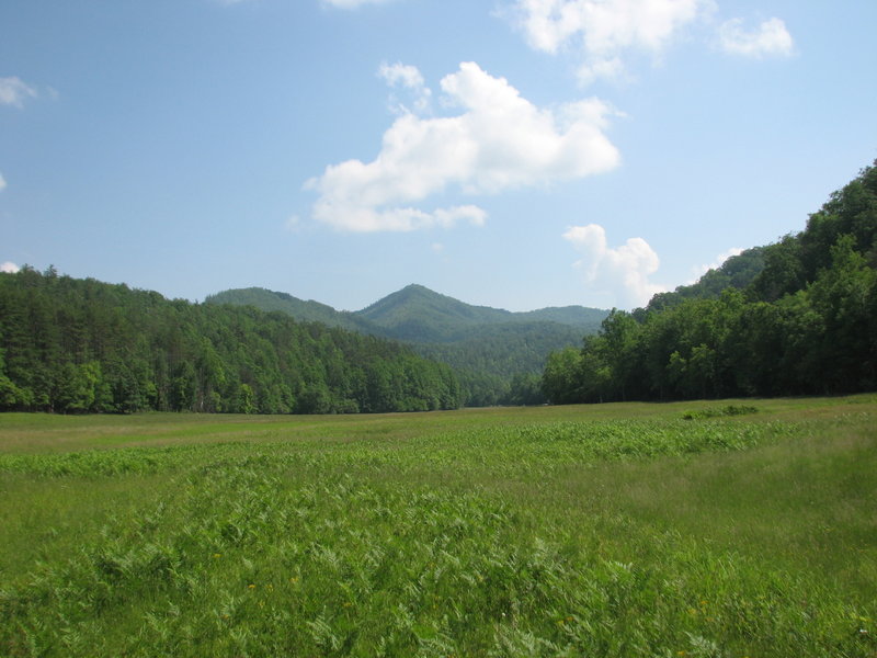 Mountain View Cataloochie  Great Smokey National Park 6883