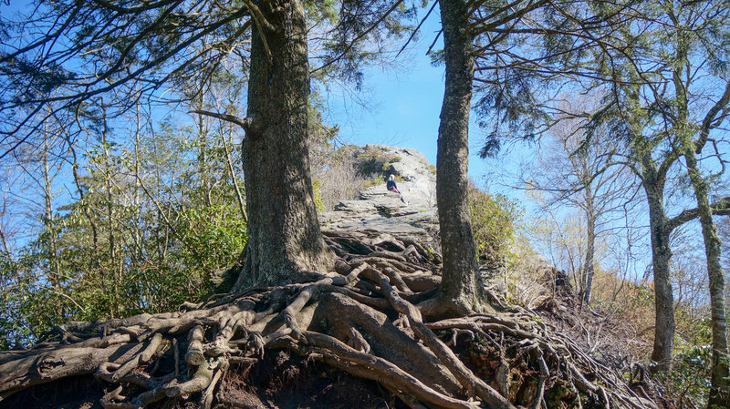 Chimney tops