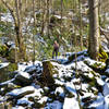 Great Smoky Mountains National Park - Rainbow Falls Trail.