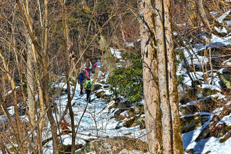 A snowy Rainbow Falls Trail through the Great Smoky trees.