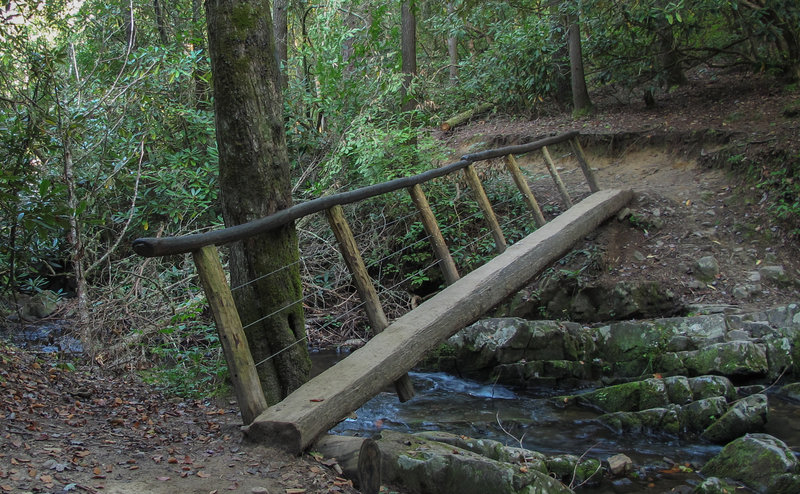 Creek crossing on Abrams Falls Trail.