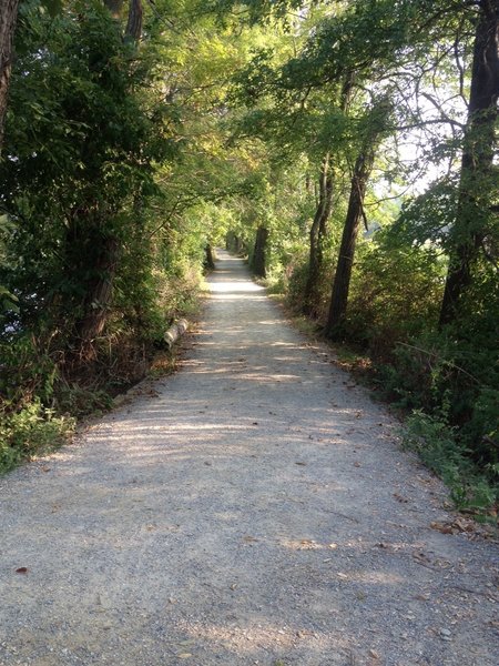 Towpath trail starting from the south parking lot.