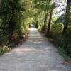 Towpath trail starting from the south parking lot.