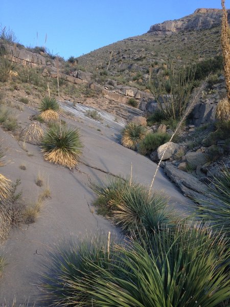 McKelligon Saddle's route merges into a slick rock face in this section. Keep heading up the mountain; the trail picks back up after climbing the rocks at the far side.