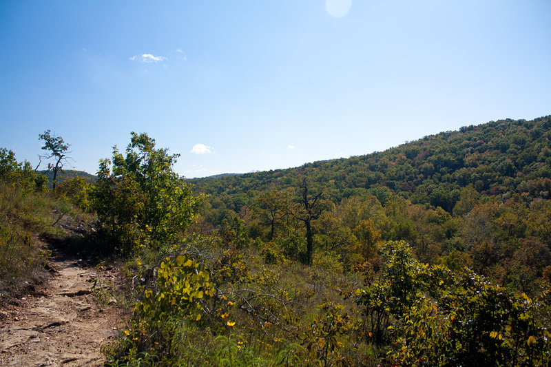 Climbing the hill on the Busiek Purple Trail, looking east.