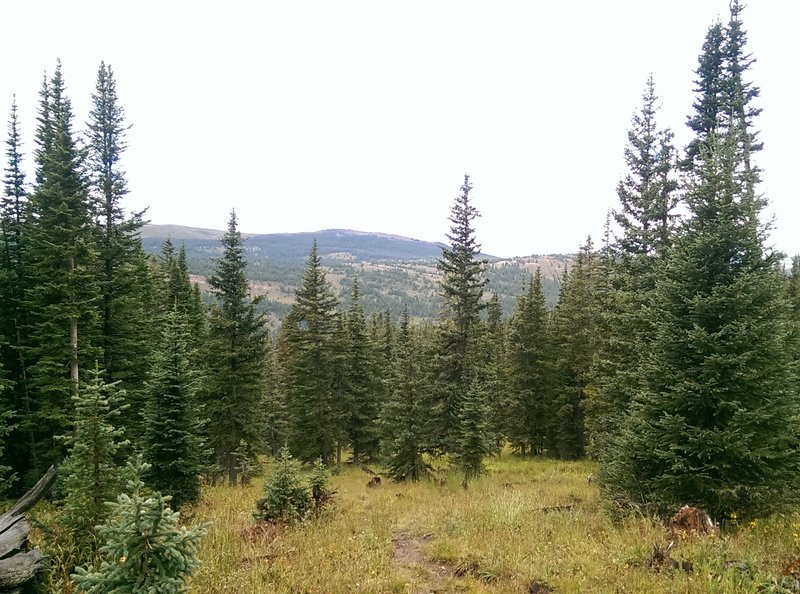 No shortage of pretty meadows and views