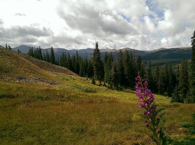 Great views to the south