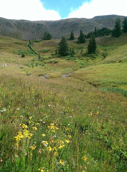 Streams criss-cross the fields below Uneva Peak