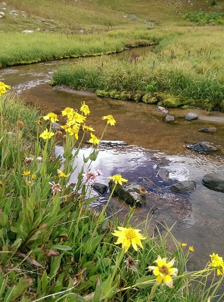 Surprisingly full stream in the bowl below Uneva Peak